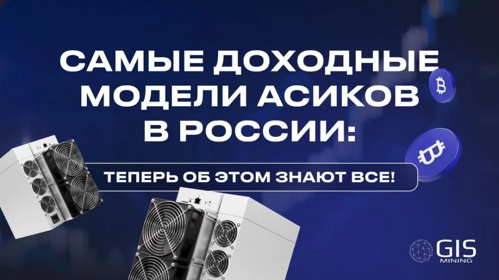 Самые доходные модели асиков в России: теперь об этом знают все!
