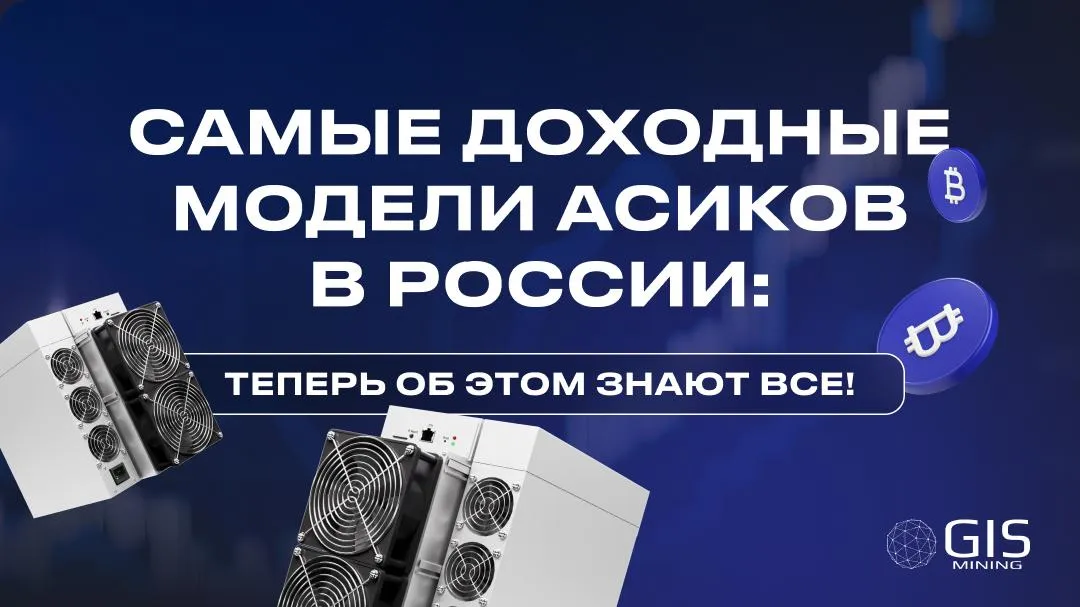 Самые доходные модели асиков в России: теперь об этом знают все!